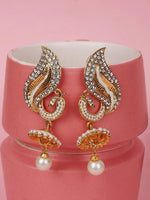 Meenakari Jhumka Earring. Peacock shape. Bohemian pearl earrings for women. Pearl drop earring. Brass gold plated earrings.
